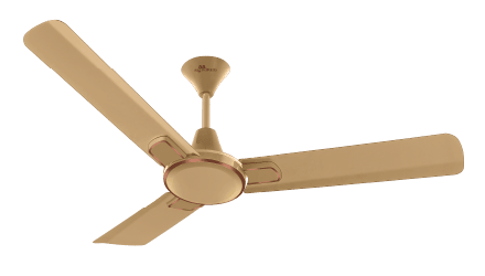 RR Signature Dribble Ceiling Fan 1200 mm Designed for Comfort, Crafted for Style!