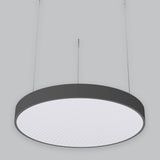 DISC BACKLIT