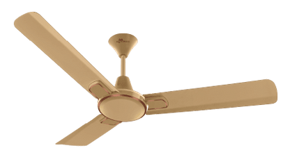 RR Signature Dribble Ceiling Fan 1200 mm Designed for Comfort, Crafted for Style!