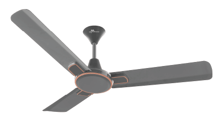 RR Signature Dribble Ceiling Fan 1200 mm Designed for Comfort, Crafted for Style!