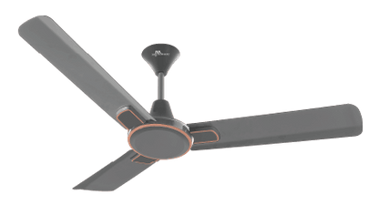 RR Signature Dribble Ceiling Fan 1200 mm Designed for Comfort, Crafted for Style!