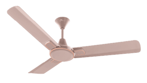 RR Signature Dribble Ceiling Fan 1200 mm Designed for Comfort, Crafted for Style!