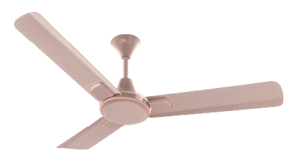 RR Signature Dribble Ceiling Fan 1200 mm Designed for Comfort, Crafted for Style!