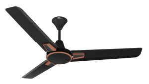 RR Signature Gravito Ceiling Fan 1200 mm Designed for Comfort, Crafted for Style!