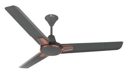 RR Signature Gravito Ceiling Fan 1200 mm Designed for Comfort, Crafted for Style!