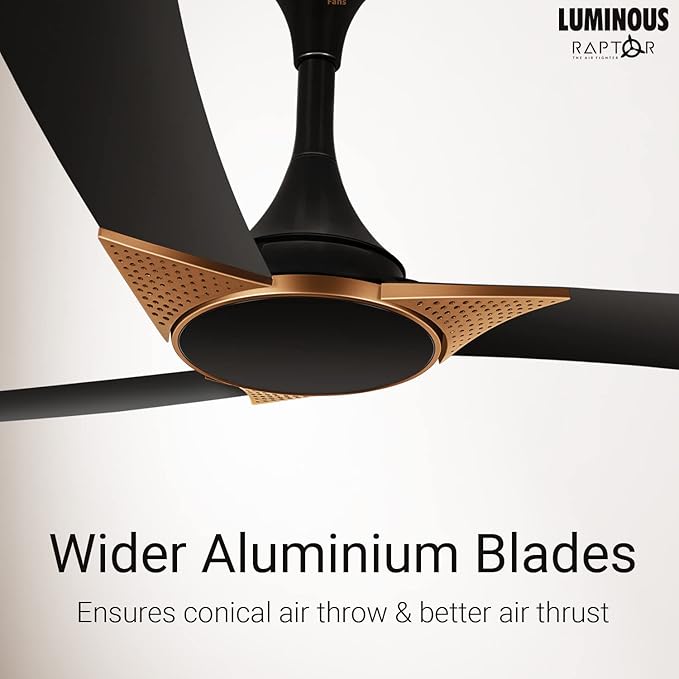 RR Signature Raptor 1200mm Ceiling Fan for Home and Office (2+3 Year Warranty, Black Copper)